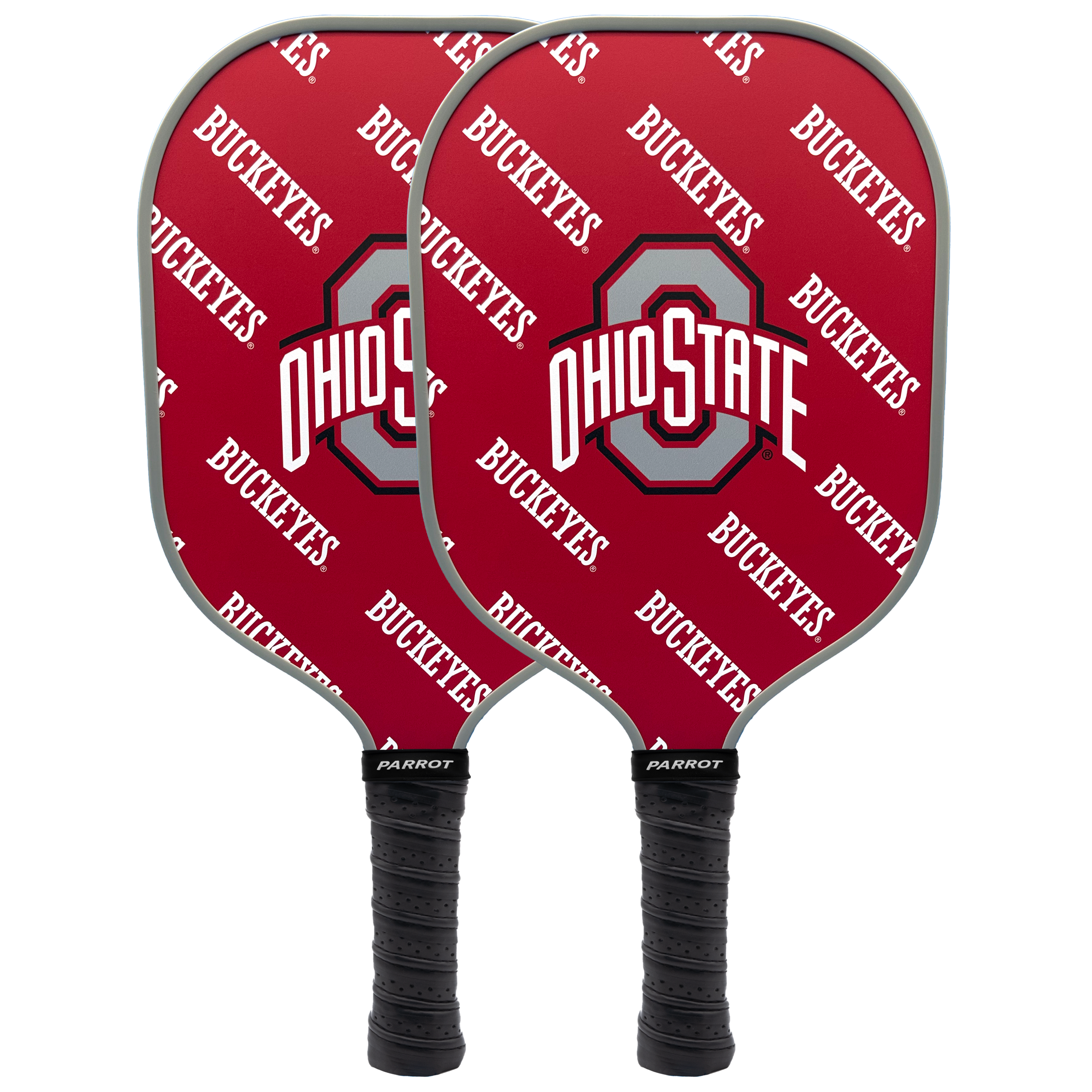 Ohio State Buckeyes Pickleball Paddle Set